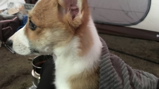 Thumbnail of post image 003