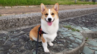 Thumbnail of post image 048