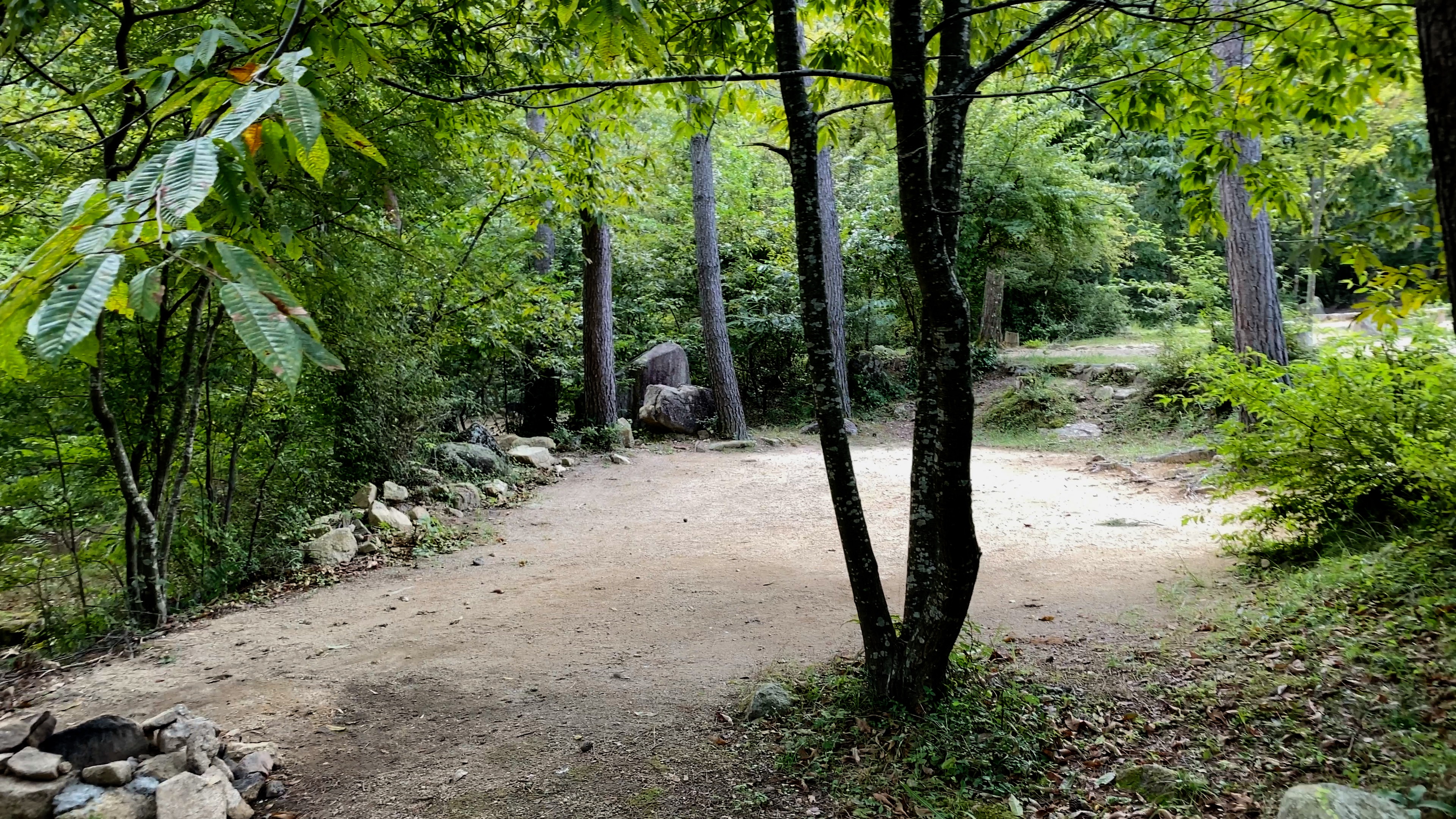 の 場 自然 オート 森 ファミリー キャンプ